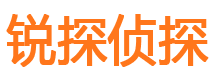 增城市私家侦探